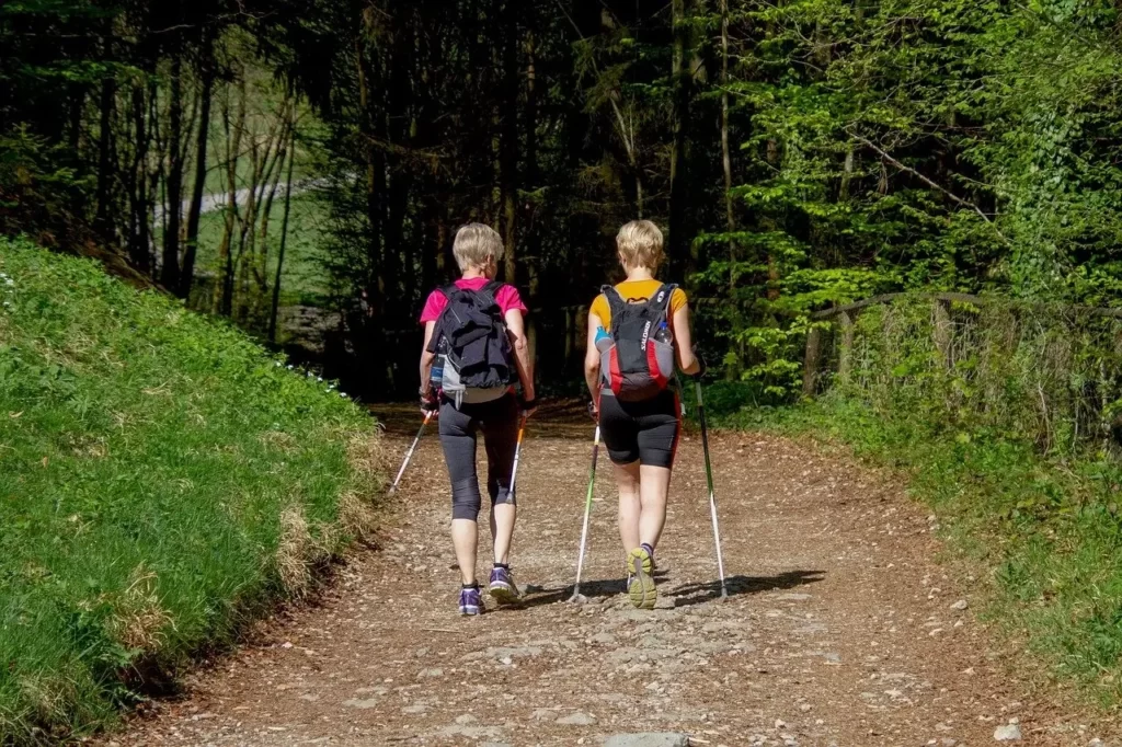 Nordic Walking po lesie